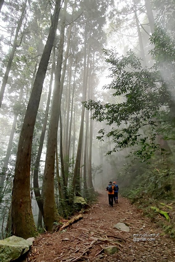 沙蓮山橫嶺山 (93).jpg