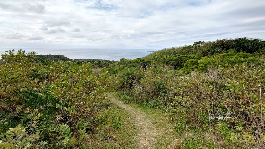 墾丁大山母山 (7).jpg