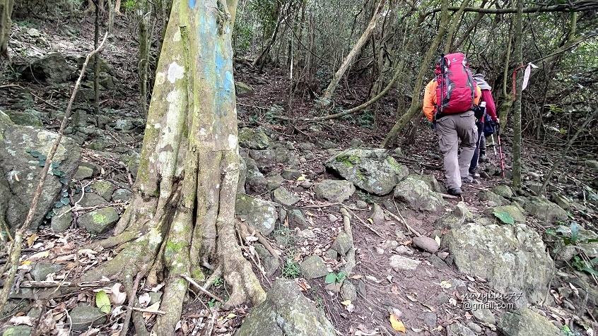 墾丁大山母山 (15).jpg