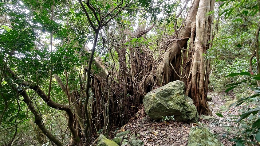 墾丁大山母山 (18).jpg