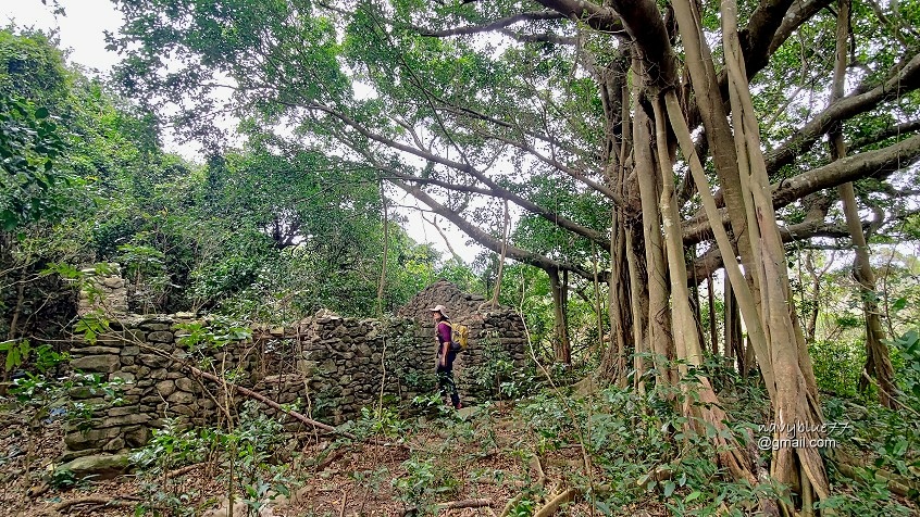 巨榕石厝-小尖石山 (7).jpg