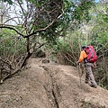 巨榕石厝-小尖石山 (26).jpg