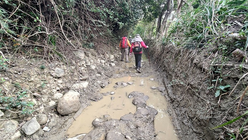 巨榕石厝-小尖石山 (44).jpg