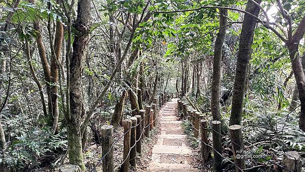 九凍雞O形2 (8).jpg