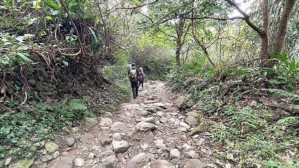 九凍雞O形2 (9).jpg