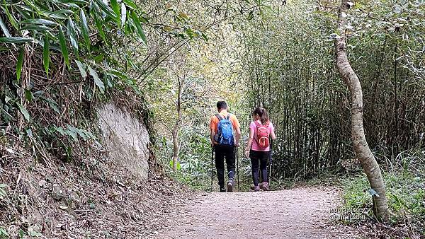 九凍雞O形2 (15).jpg