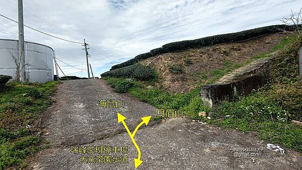 鼠眉毛縱走O形 (12).jpg