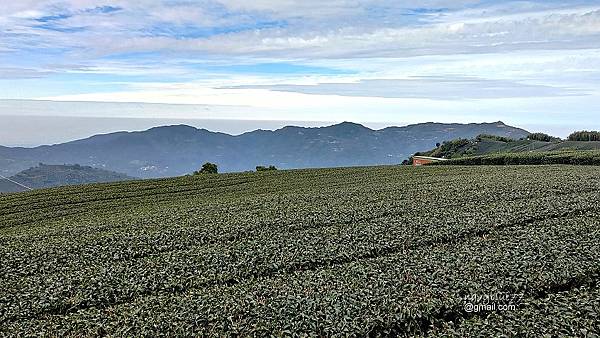 鼠眉毛縱走O形 (16).jpg