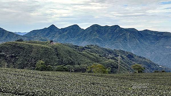 鼠眉毛縱走O形 (15).jpg