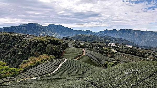 鼠眉毛縱走O形 (22).jpg