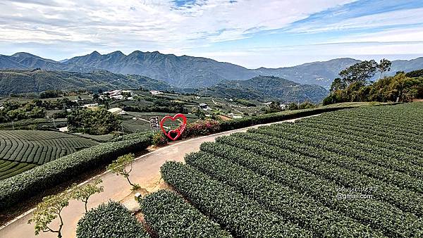 鼠眉毛縱走O形 (23).jpg