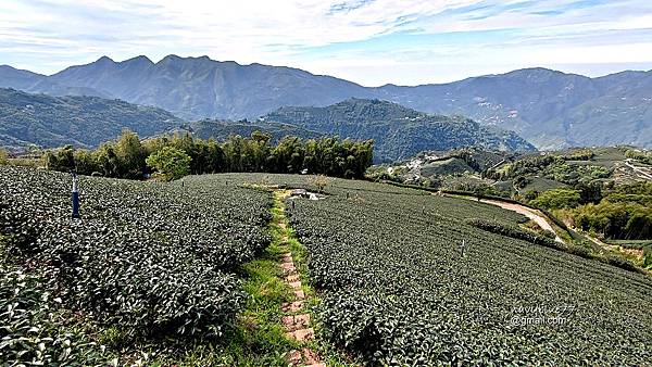 鼠眉毛O形2 (5).jpg