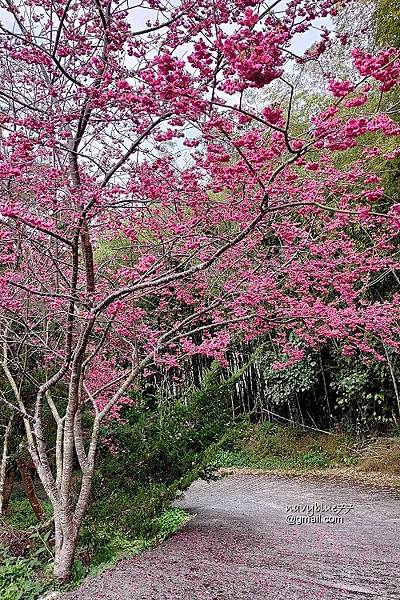 鼠眉毛O形2 (9).jpg