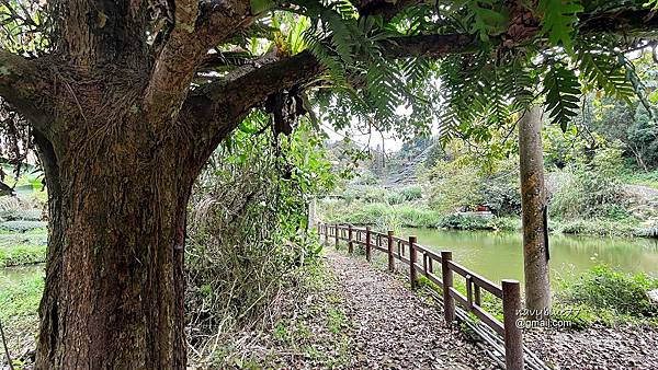 鼠眉毛O形2 (23).jpg