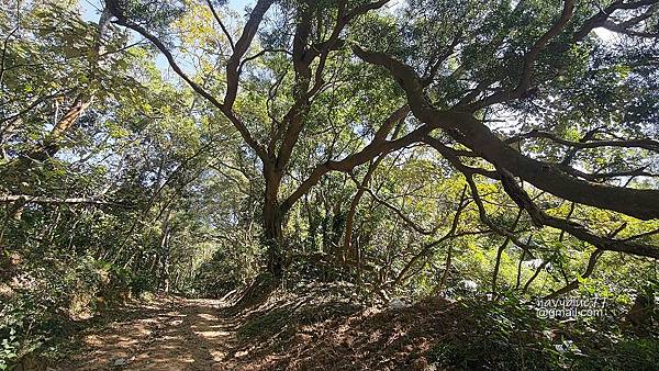 烏山嶺水利古道 (7).jpg