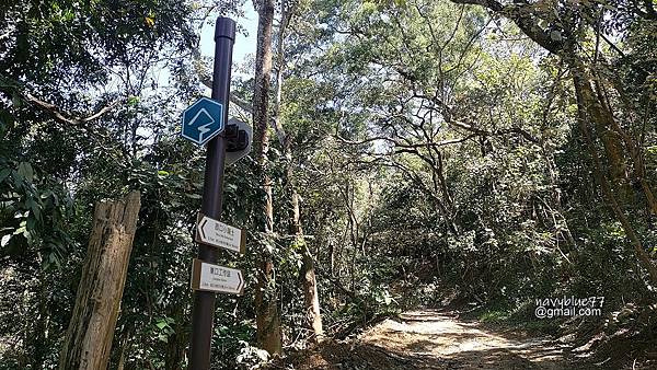 烏山嶺水利古道 (8).jpg