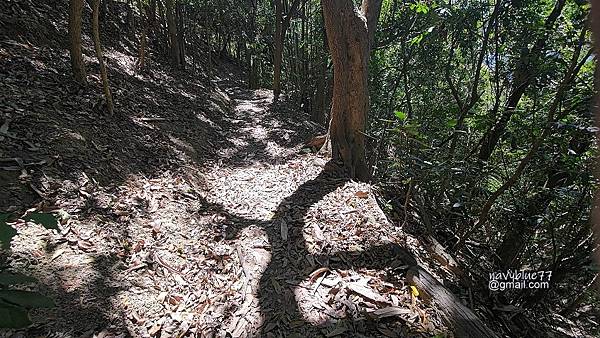 烏山嶺水利古道 (14).jpg