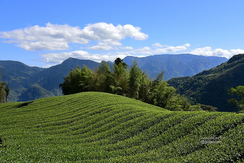 瑞太瑞奮古道 (2).jpg