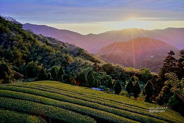瑞太瑞奮古道 (7).JPG