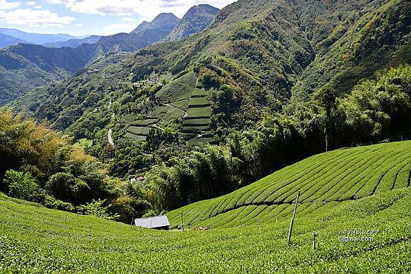 瑞太瑞奮古道 (4).jpg