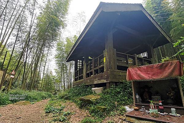 瑞太瑞奮古道 (9).jpg