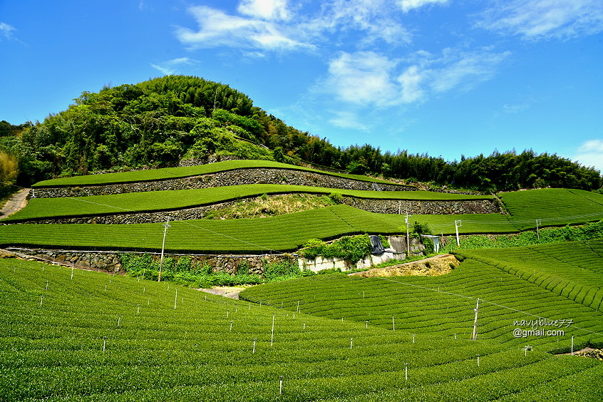 大風嶺觀日峰 (7).JPG