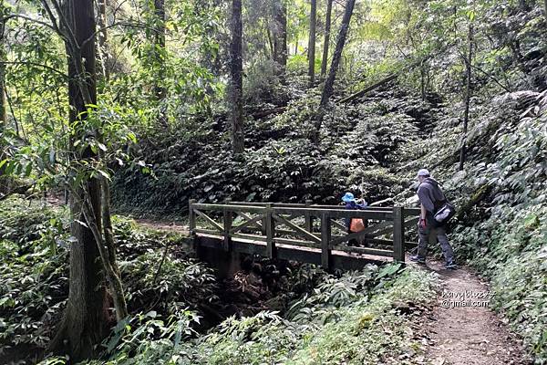 瑞太瑞奮古道 (17).jpg