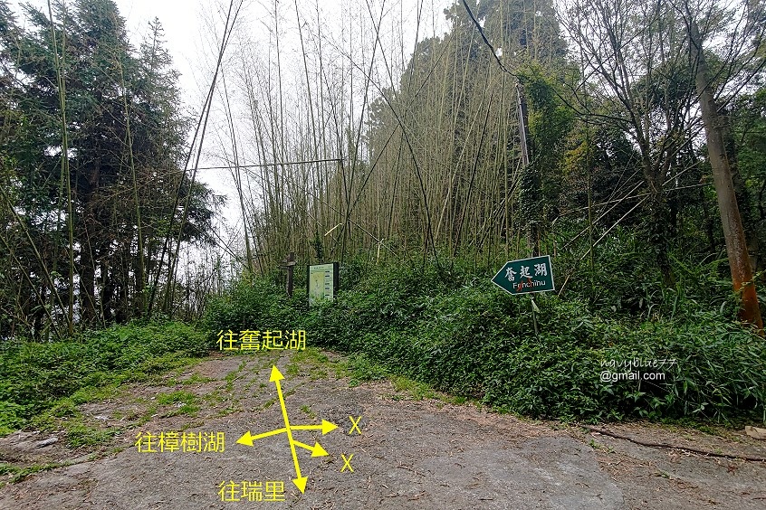 瑞太瑞奮古道 (36).jpg