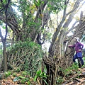 獅球嶺東砲台南榮山 (3).JPG