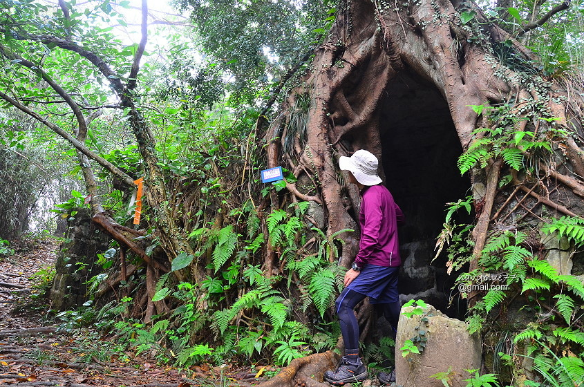 獅球嶺東砲台南榮山 (7).JPG