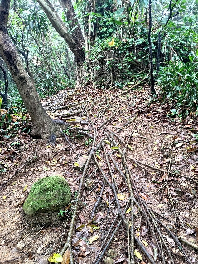 獅球嶺東砲台南榮山 (27).jpg