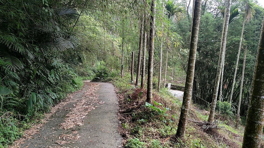 麻竹湖山阿郡山 (17).jpg