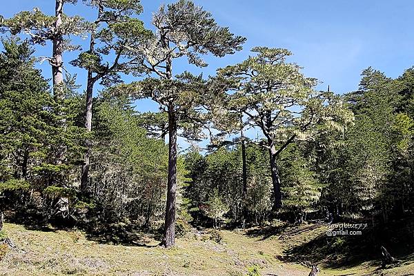 嘉明湖三叉山 (32).jpg