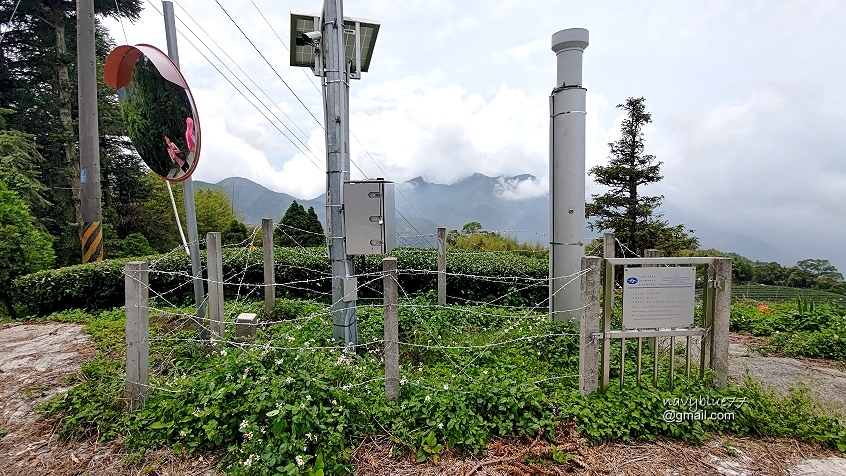 許家茶園步道 (15).jpg