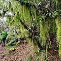 玉山林道 (39).jpg