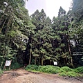 玉山林道 (56).jpg