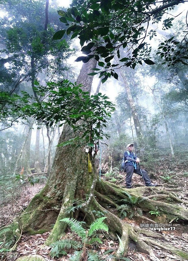 守城大山 (3).jpg