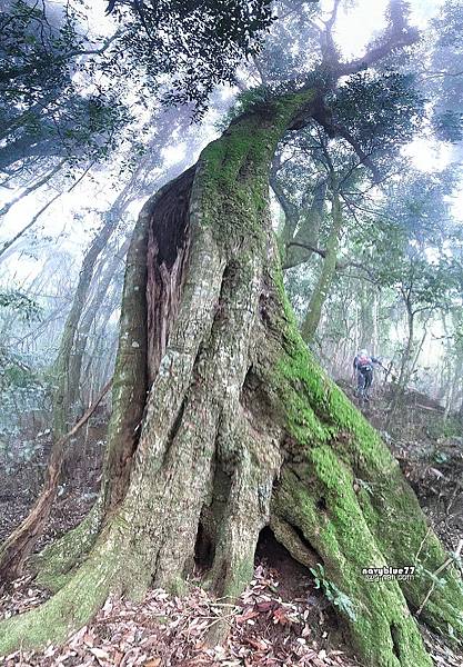 守城大山 (17).jpg