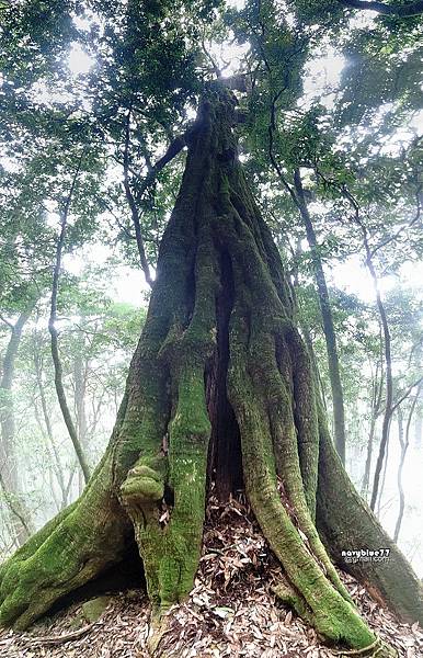 守城大山 (19).jpg