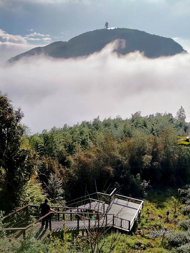 茶林山步道 (3).jpg