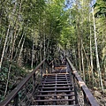 茶林山步道 (1).jpg