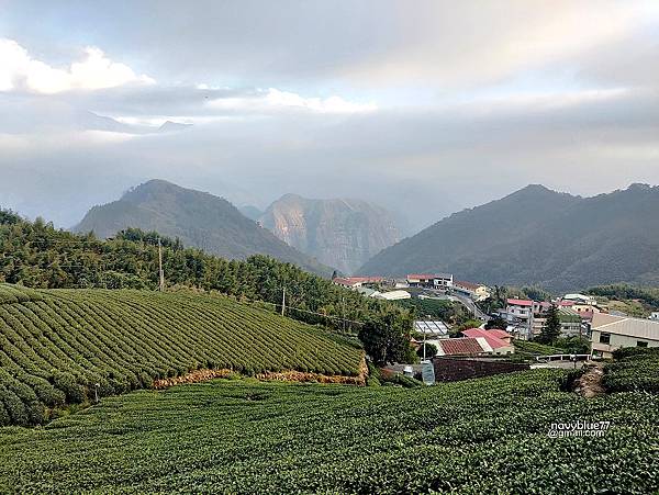 茶林山步道 (11).jpg