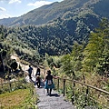 茶林山步道 (18).jpg