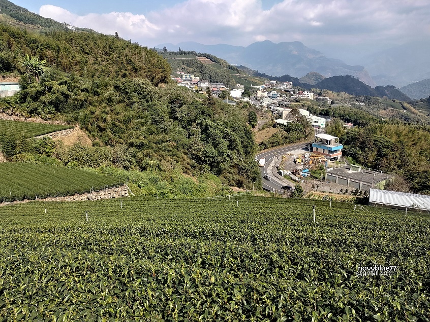 茶林山步道 (25).jpg