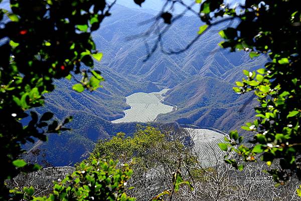 巴層巴墨山 (2).JPG