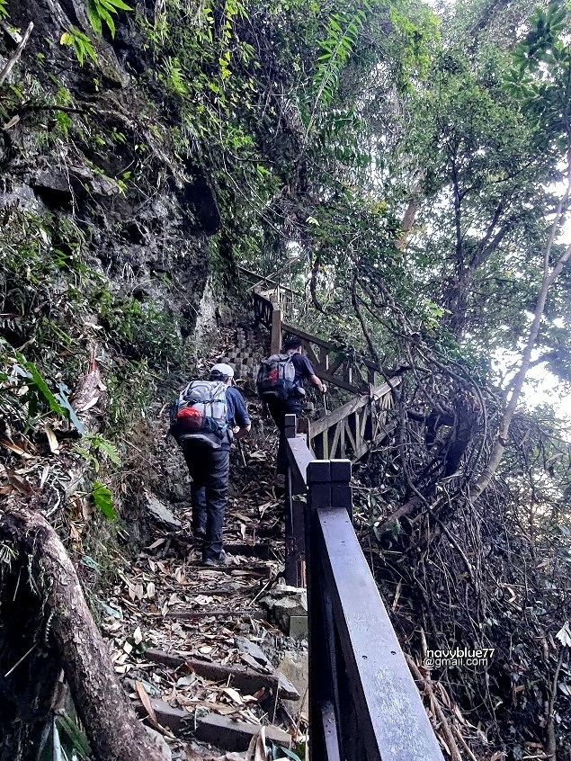 豐阿縱走-石夢谷 (5).jpg