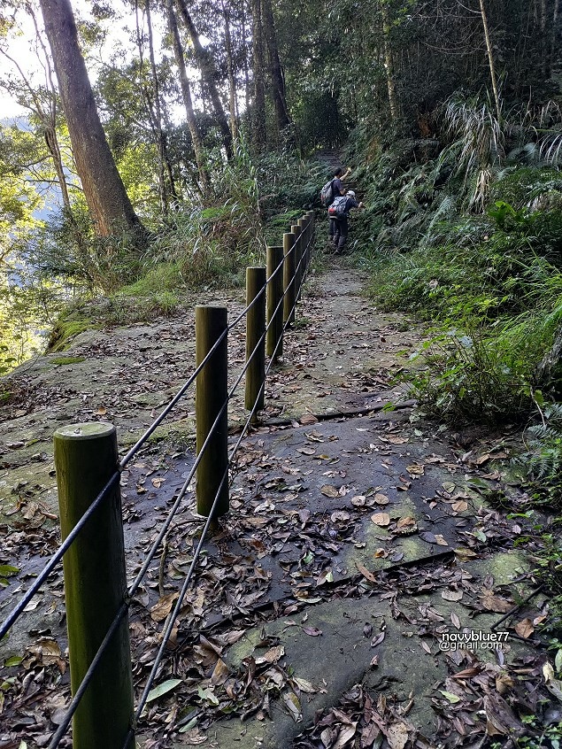 豐阿縱走-石夢谷 (27).jpg