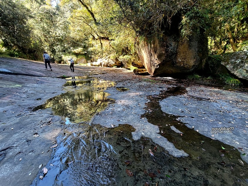 豐阿縱走-石夢谷 (37).jpg