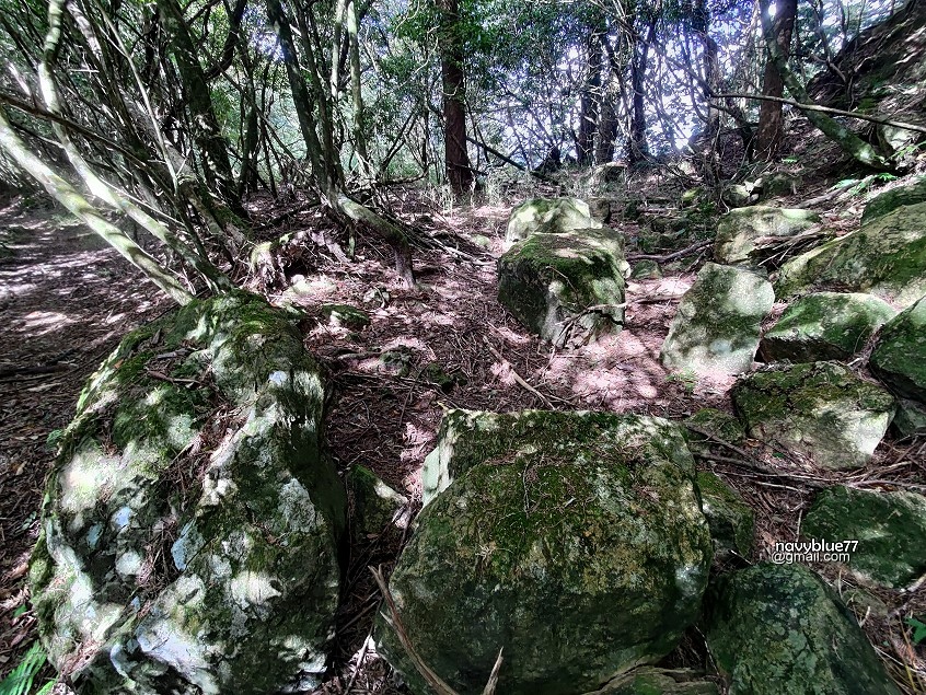 豐阿縱走-大瀧溪線(70).jpg