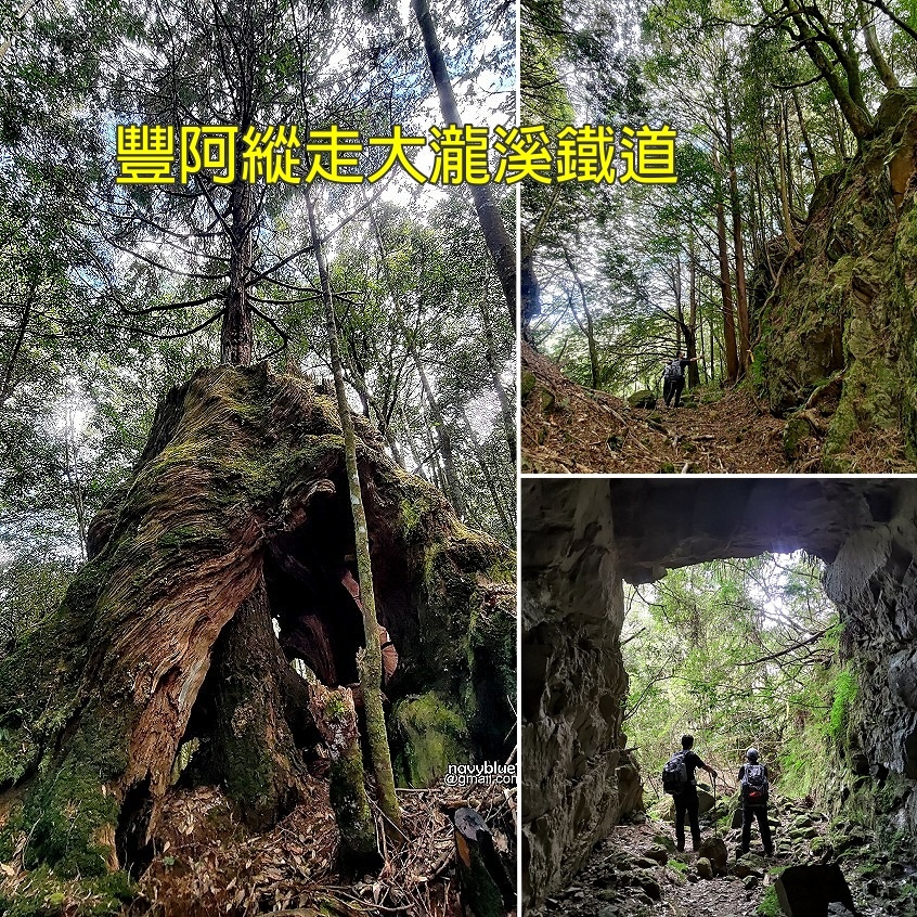 豐阿1.jpg 豐阿1.jpg